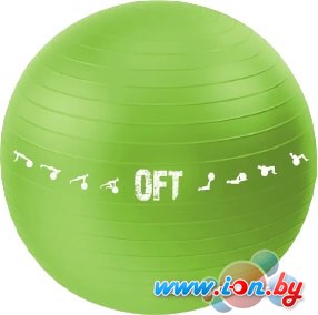 Гимнастический мяч Original FitTools FT-GBPRO-65GN в Могилёве