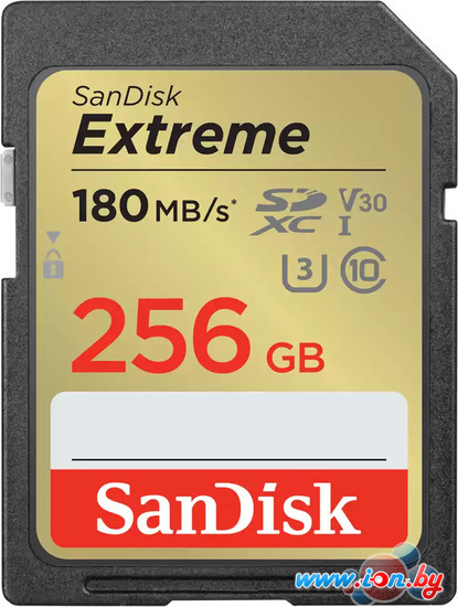 Карта памяти SanDisk Extreme SDXC SDSDXVV-256G-GNCIN 256GB в Минске