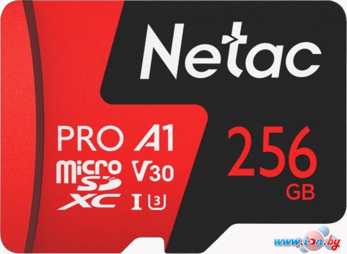 Карта памяти Netac P500 Extreme Pro 256GB NT02P500PRO-256G-S в Гродно