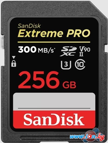 Карта памяти SanDisk Extreme PRO SDXC SDSDXDK-256G-GN4IN 256GB в Бресте