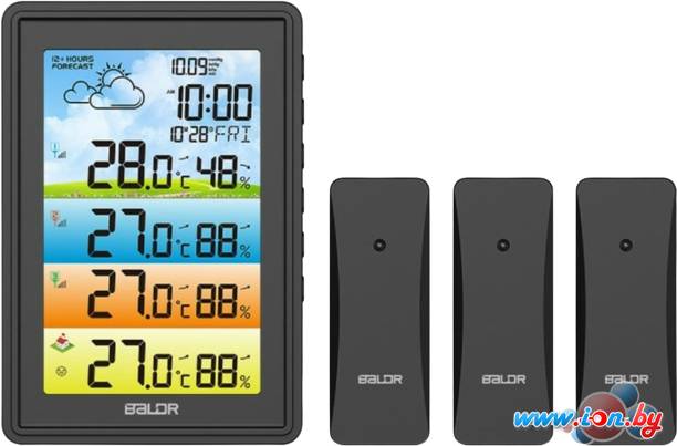 Метеостанция Baldr B0360WST4H4PR-black в Бресте