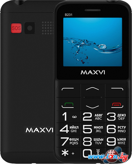 Кнопочный телефон Maxvi B231 (черный) в Могилёве