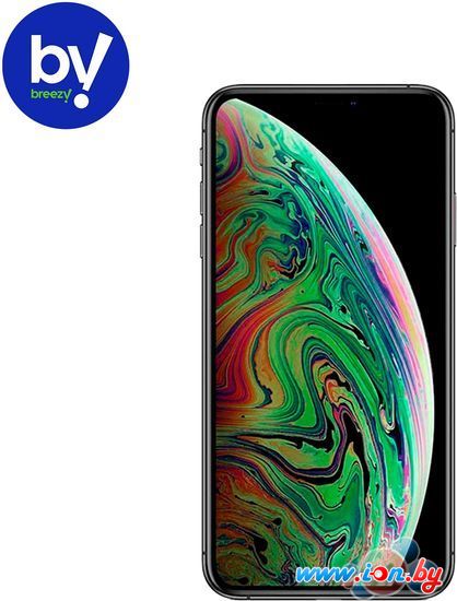 Смартфон Apple iPhone XS 256GB Воcстановленный by Breezy, грейд A (серый космос) в Минске