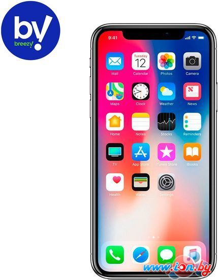 Смартфон Apple iPhone X 64GB Воcстановленный by Breezy, грейд B (серый космос) в Гомеле