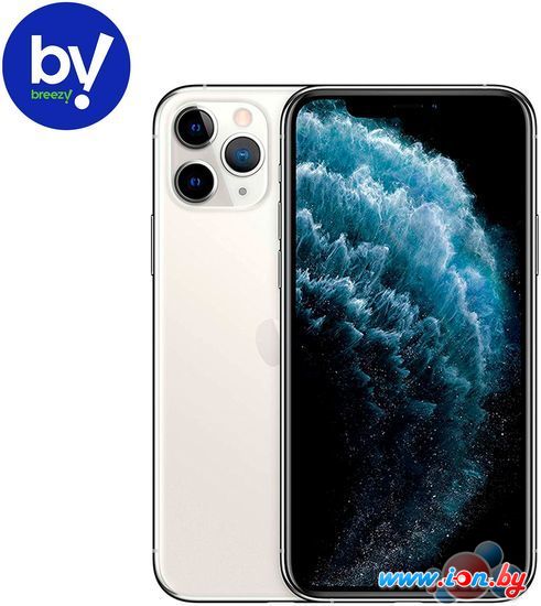 Смартфон Apple iPhone 11 Pro 64GB Воcстановленный by Breezy, грейд B (серебристый) в Могилёве