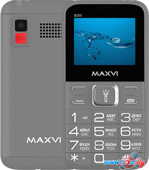 Кнопочный телефон Maxvi B200 (серый) в Бресте