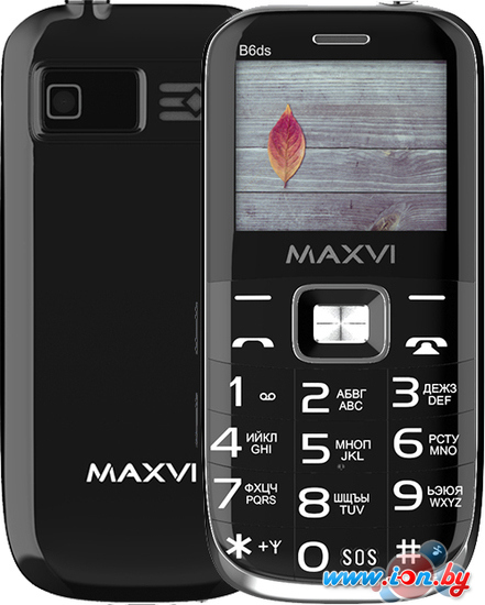 Кнопочный телефон Maxvi B6ds (черный) в Минске