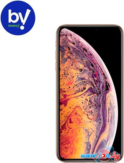 Смартфон Apple iPhone XS Max 64GB Воcстановленный by Breezy, грейд B (золотистый) в Могилёве