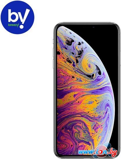 Смартфон Apple iPhone XS 256GB Воcстановленный by Breezy, грейд B (серебристый) в Гомеле