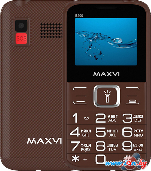 Кнопочный телефон Maxvi B200 (коричневый) в Бресте