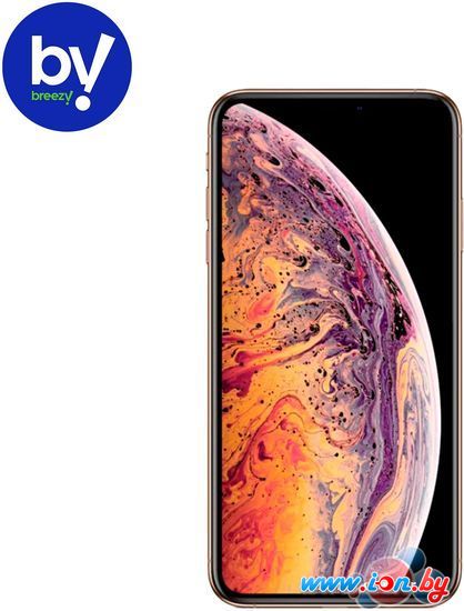 Смартфон Apple iPhone XS 256GB Воcстановленный by Breezy, грейд A (золотистый) в Бресте