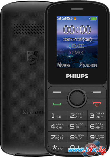 Кнопочный телефон Philips Xenium E2101 (черный) в Минске