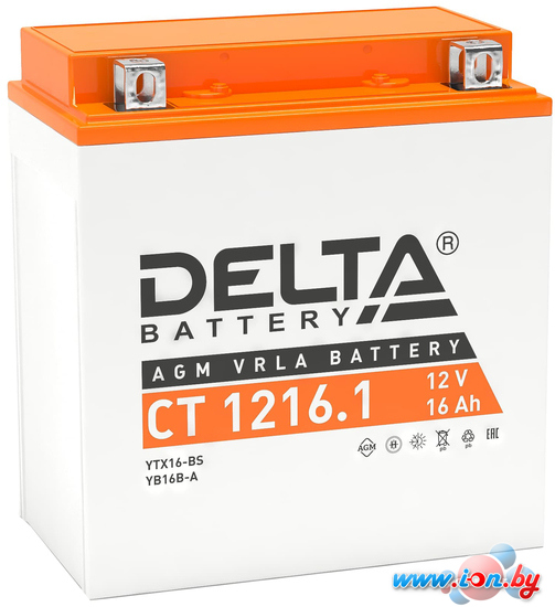 Мотоциклетный аккумулятор Delta CT 1216.1 (YTX16-BS, YB16B-A) (16 А·ч) в Витебске