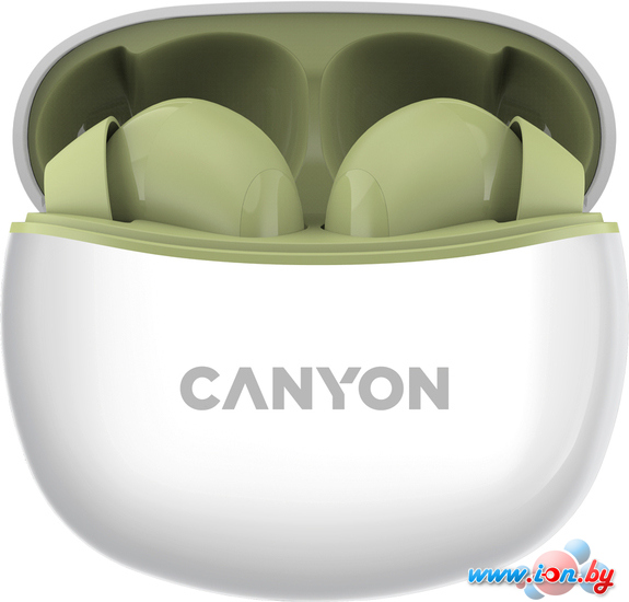 Наушники Canyon CNS-TWS5GR в Гродно