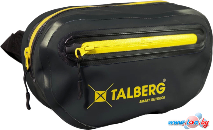 Сумка на пояс Talberg City Dry 2 TLG-029 (черный) в Могилёве