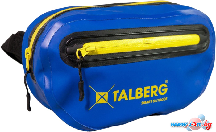 Сумка на пояс Talberg City Dry 2 TLG-029 (синий) в Могилёве