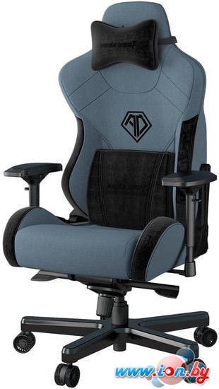 Кресло AndaSeat T-Pro 2 (голубой/черный) в Гомеле