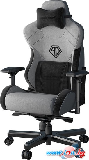 Кресло AndaSeat T-Pro 2 (серый/черный) в Могилёве