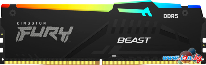 Оперативная память Kingston FURY Beast RGB 8ГБ DDR5 4800МГц KF548C38BBA-8 в Гродно