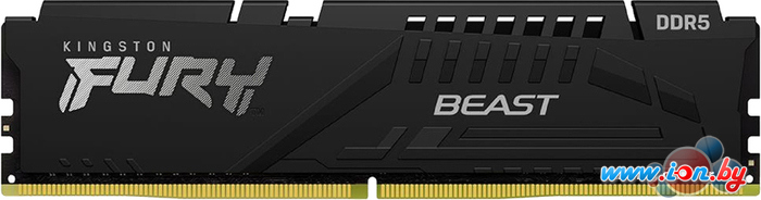 Оперативная память Kingston FURY Beast 16ГБ DDR5 5200МГц KF552C36BBE-16 в Могилёве