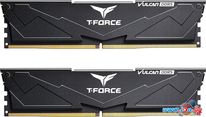 Оперативная память Team T-Force Vulcan 2x16ГБ DDR5 5600 МГц FLBD532G5600HC36BDC01 в Минске