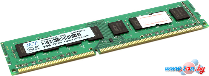 Оперативная память NCP 8GB DDR3 PC3-12800 [NCPH10AUDR-16M28] в Могилёве