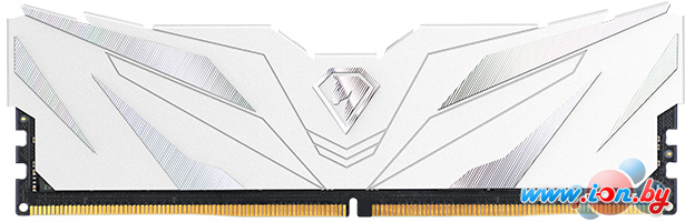 Оперативная память Netac Shadow II White 8ГБ DDR5 4800 МГц NTSWD5P48SP-08W в Гомеле