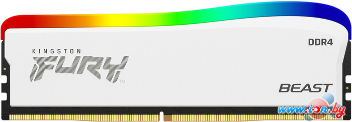 Оперативная память Kingston FURY Beast RGB SE 16ГБ DDR4 3200 МГц KF432C16BWA/16 в Бресте