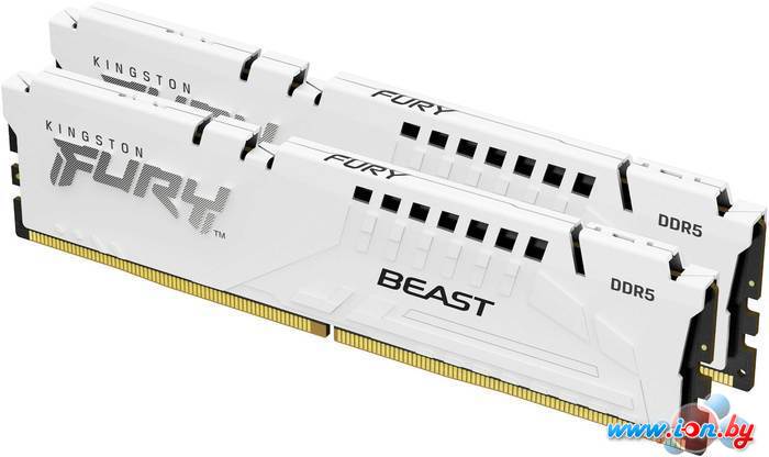 Оперативная память Kingston FURY Beast 2x16ГБ DDR5 5600МГц KF556C40BWK2-32 в Могилёве