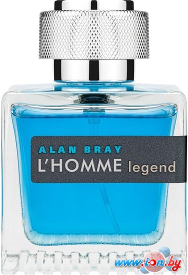 Туалетная вода Alan Bray LHomme Legend for Men EdT (100 мл) в Могилёве