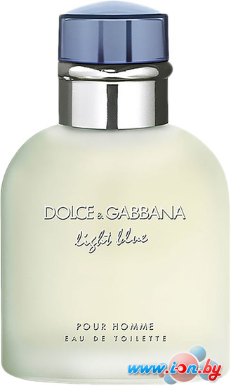 Туалетная вода Dolce&Gabbana Light Blue pour Homme EdT (40 мл) в Бресте