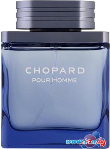 Туалетная вода Chopard Pour Homme EdT (50 мл) в Бресте