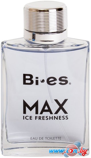 Туалетная вода BI-ES Max Ice Freshness EdT 100 мл в Могилёве