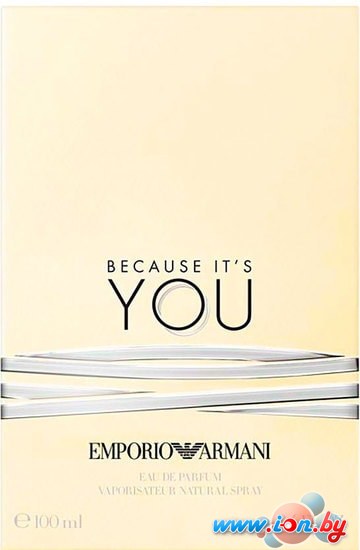 Парфюмерная вода Giorgio Armani Because Its You EdP (100 мл) в Витебске