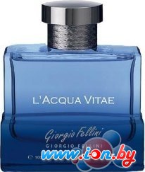 Туалетная вода Christine Lavoisier Giorgio Fellini LAcqua Vitae EdT (100 мл) в Гомеле