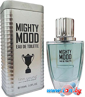 Туалетная вода Linn Young Mighty Mood Men EdT (100 мл) в Могилёве