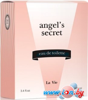 Парфюмерная вода Dilis Parfum Angels Secret EdP 100 мл в Могилёве