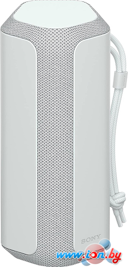 Беспроводная колонка Sony SRS-XE200 (серый) в Могилёве