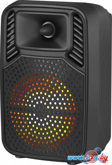 Беспроводная колонка Defender Boomer 10 в Могилёве