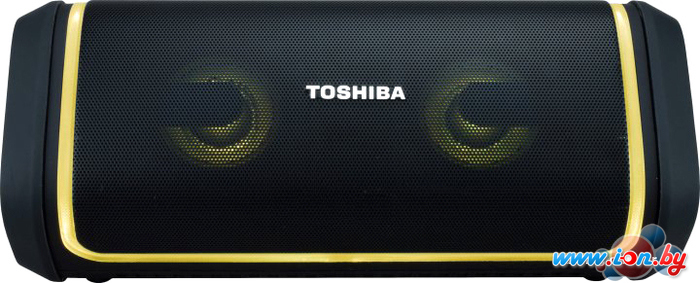 Беспроводная колонка Toshiba TY-WSP150 в Могилёве