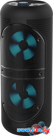 Беспроводная колонка Soundmax SM-PS4405 в Гродно