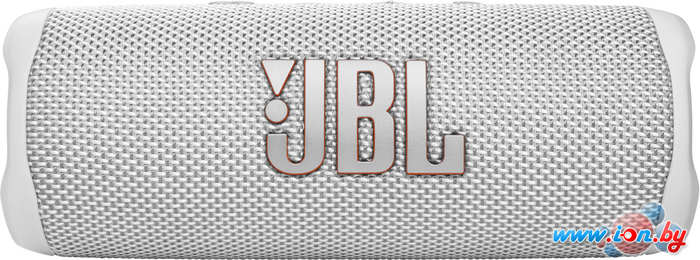 Беспроводная колонка JBL Flip 6 (белый) в Могилёве