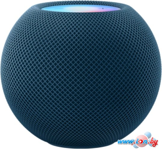 Умная колонка Apple HomePod Mini (синий) в Могилёве