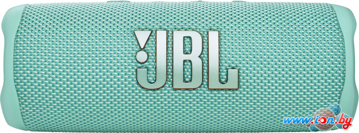 Беспроводная колонка JBL Flip 6 (бирюзовый) в Минске