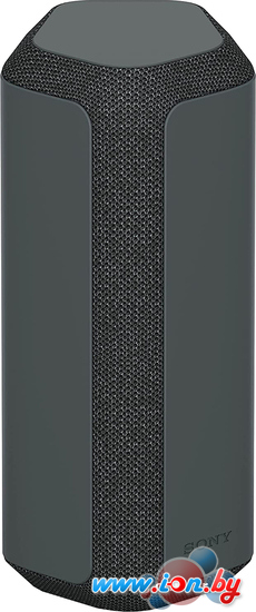 Беспроводная колонка Sony SRS-XE300 (черный) в Могилёве