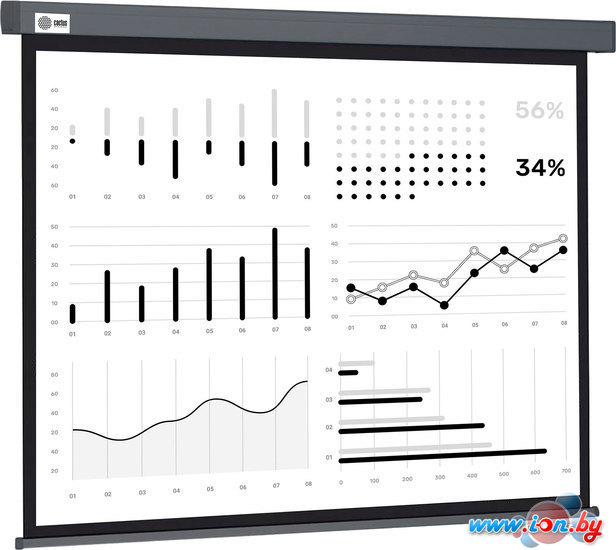 Проекционный экран CACTUS Wallscreen 180x180 CS-PSW-180X180-SG в Могилёве