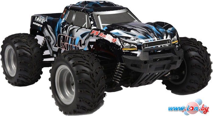 Автомодель FS Racing Outlander 1:10 FS-53822 коллекторная (черный) в Витебске