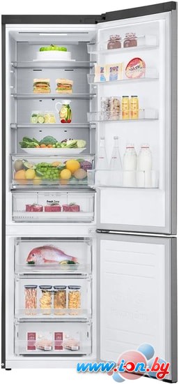 Холодильник LG DoorCooling+ GA-B509MMQM в Могилёве