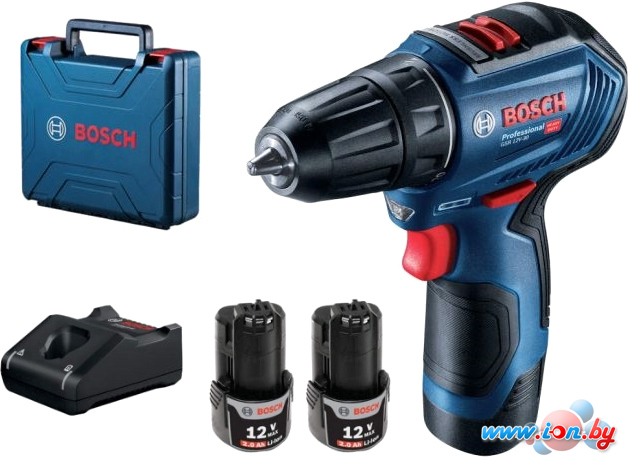 Ударная дрель-шуруповерт Bosch GSB 12V-30 Professional 06019G9120 (с 2-мя АКБ, кейс) в Витебске