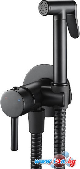 Гигиенический душ Rea Loop REA-B8978 (черный) в Могилёве